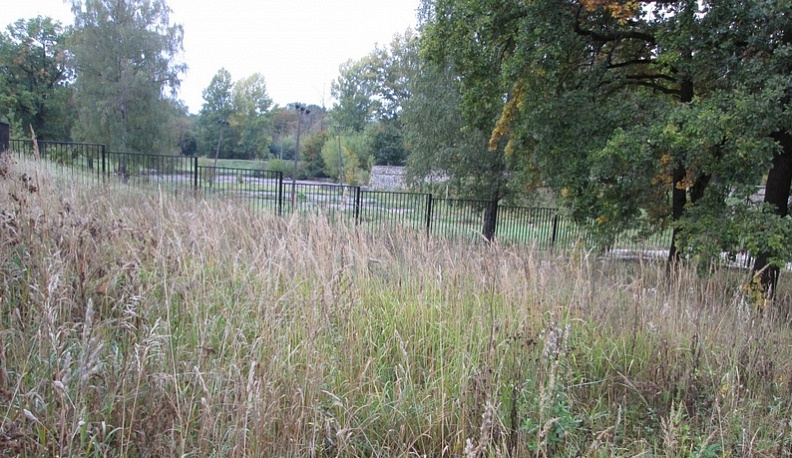 В Обнинске планируют благоустроить овраг за кинотеатром «Мир»