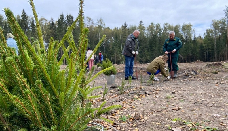 Калужская область участвует во Всероссийской акции «Сохраним лес»