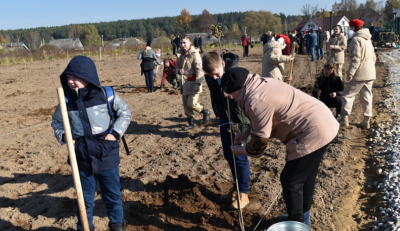 «Как белоснежные невесты…»