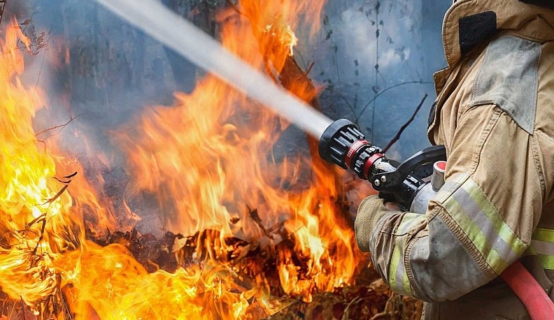 Охладить пыл к палам