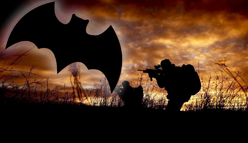 Под крылом  «летучей  мыши»