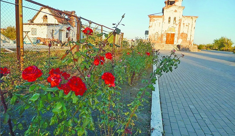 Розы под огнём