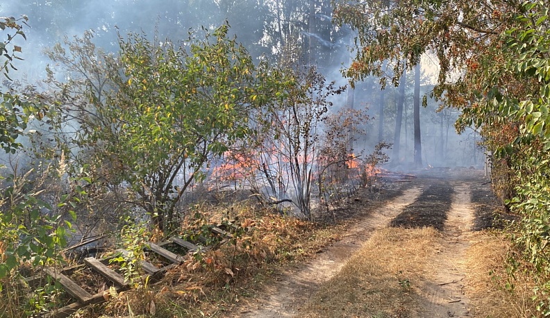 В Калужской области дачница спасла соседку от гибели в огне