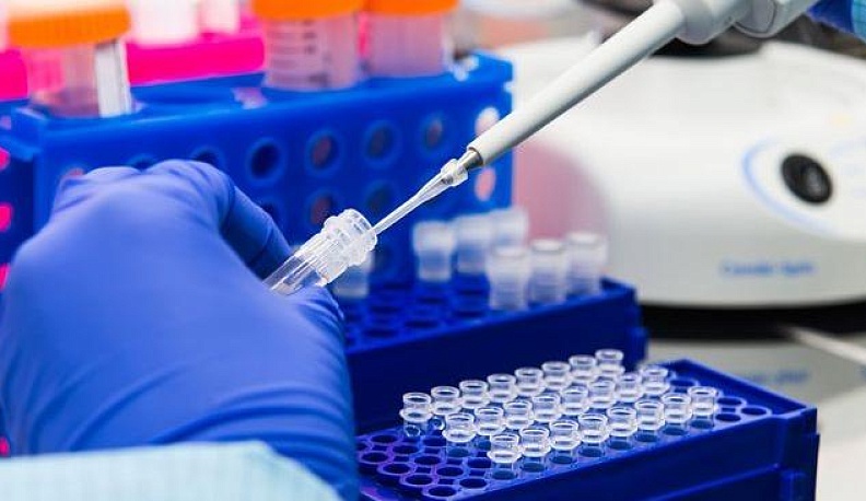 Опознать безымянное