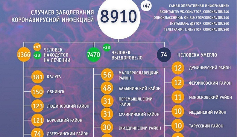 За сутки в Калужской области выздоровело 33 человека