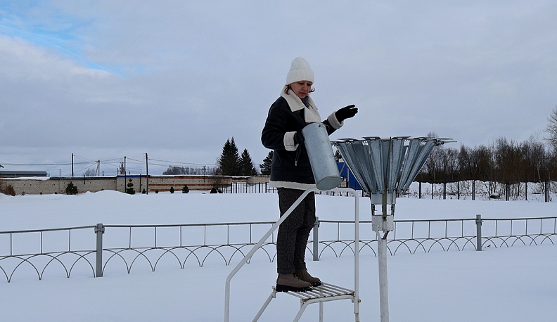 Стражи погоды