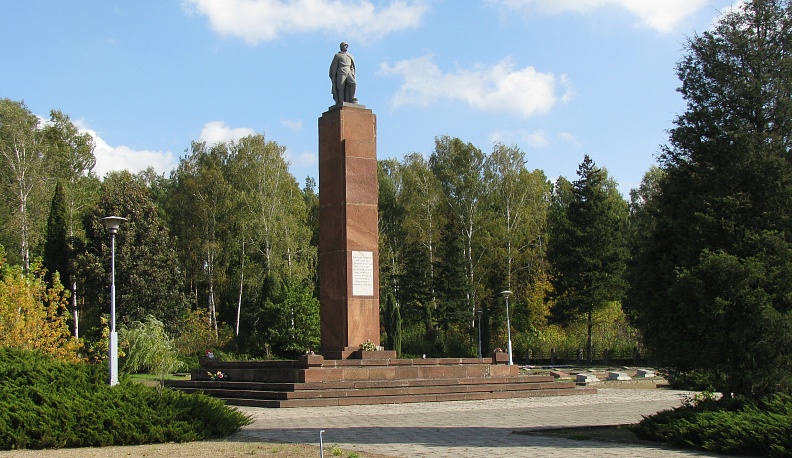 «В бою за Родину…»