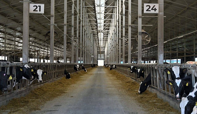 Оксана Лут и Владислав Шапша посетили калужские сельско-хозяйственные территории