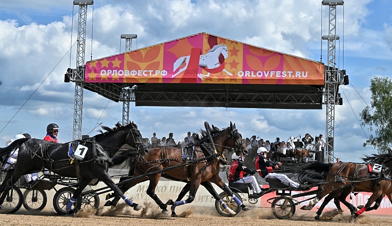 Эх, тройка!   Птица-тройка!