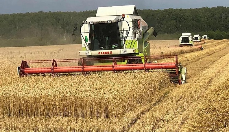 В Калужской области убрана почти треть площади зерновых
