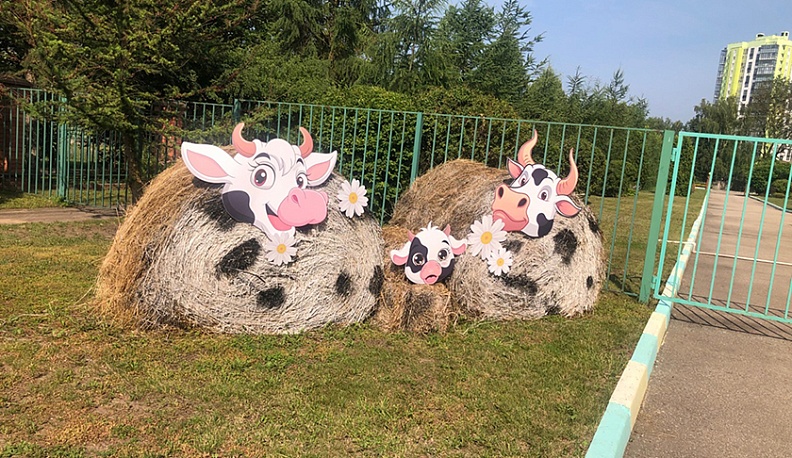 На территории Тимирязевской академии.