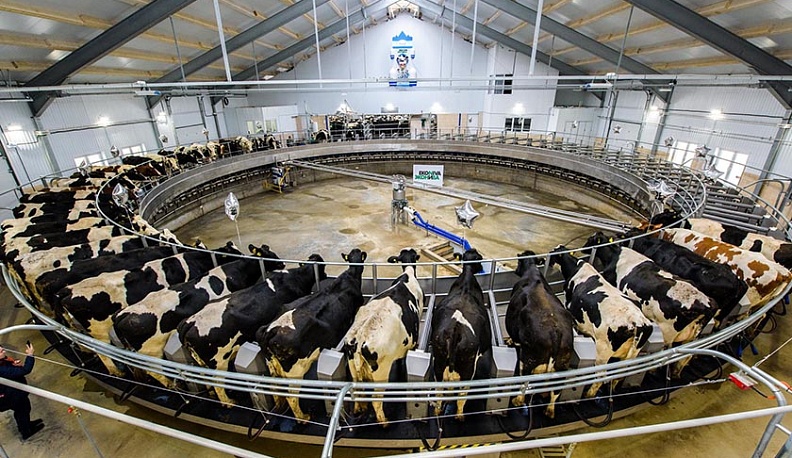 Молочные реки Калужской области