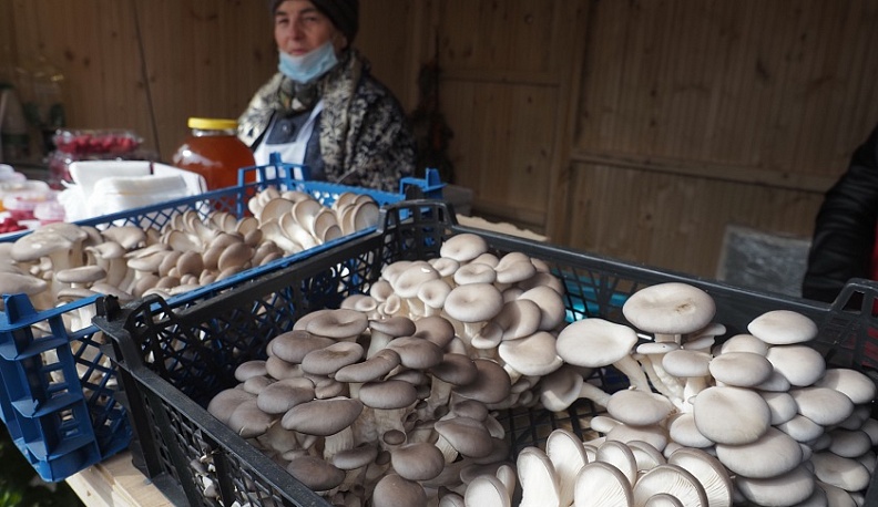 Вкусный сентябрь в Калуге продолжает «Калужская осень 2021»