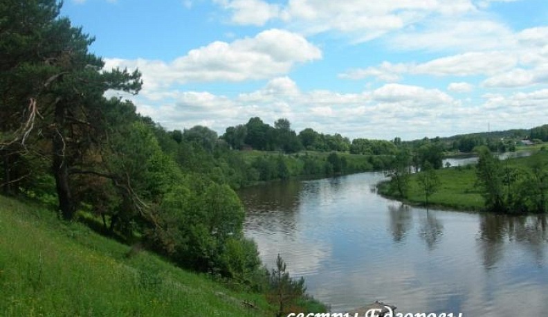 В области прошел фотоконкурс среди детей, состоящих в центрах социальной поддержки 