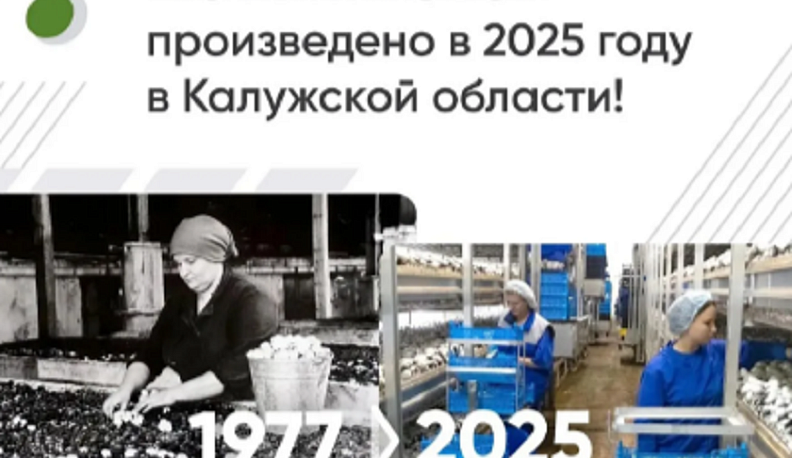 Калужская область производит 10% российских шампиньонов