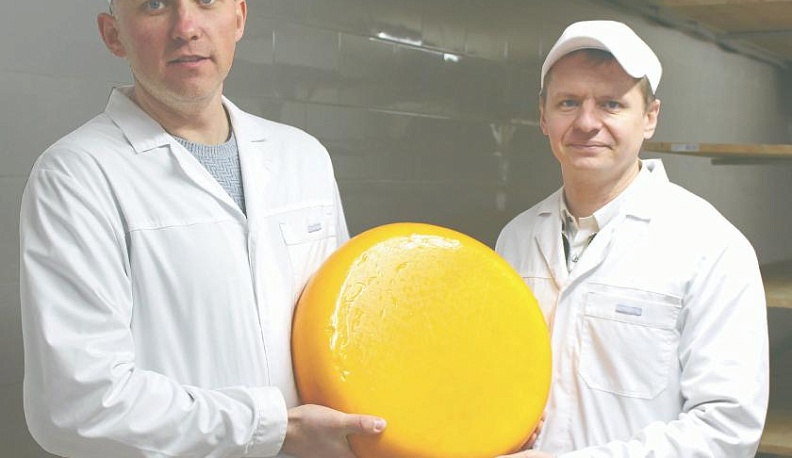 В Медыни осваивают производство традиционного европейского сыра