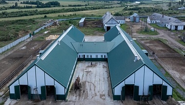 В Калужской области построят роботизированную ферму на полторы тысячи коров