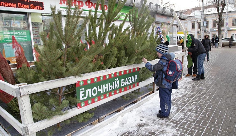 Стала известна цена на новогодние елки в Калуге