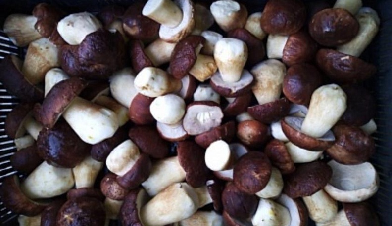 Калужская область планирует увеличить объемы экспорта агропромышленной продукции до 72 миллионов долларов