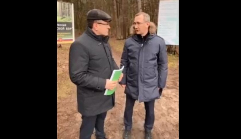 Владислав Шапша поручил запретить вырубку деревьев в Калужском бору 