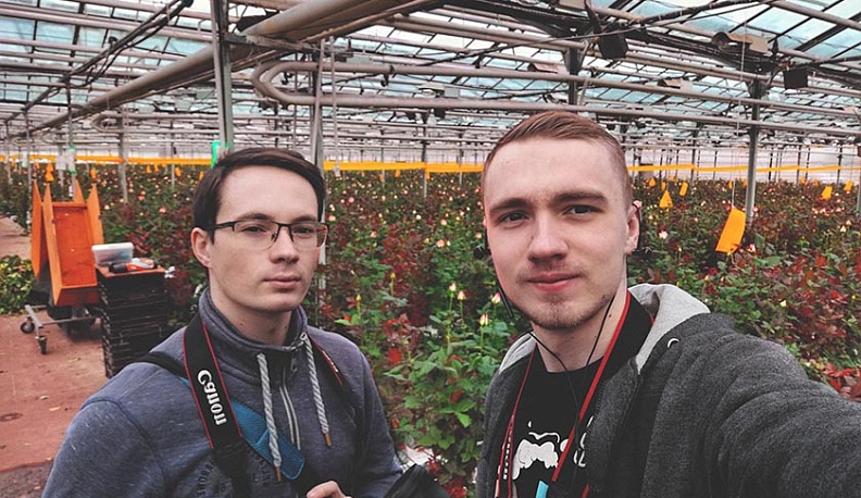 Лютики-цветочки. Цифровая жизнь