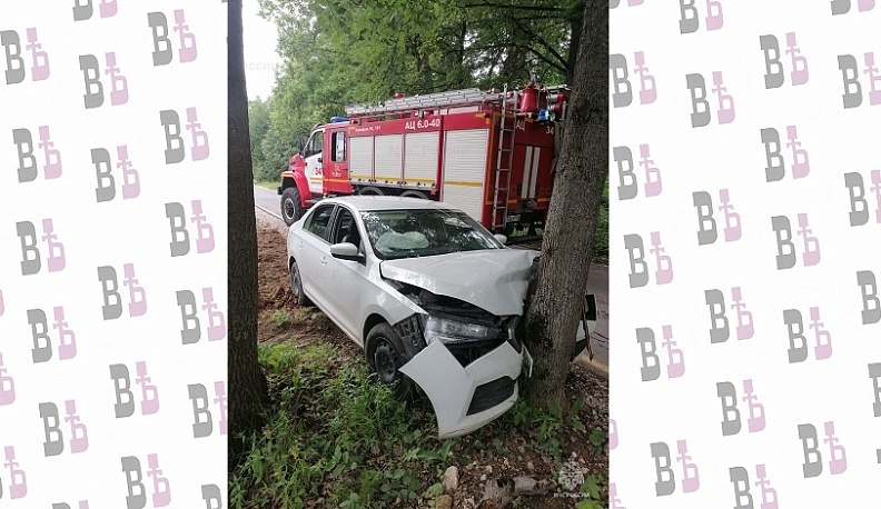 В Малоярославецком районе машина влетела в дерево