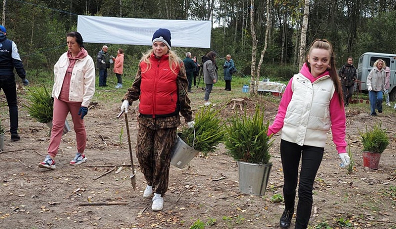 В Калужской области Российские дни леса калужане встретили с мечом Колесова 