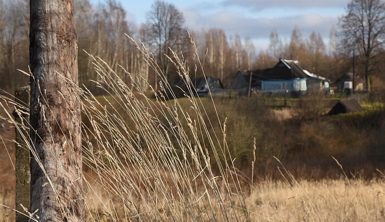 От косы не откосить