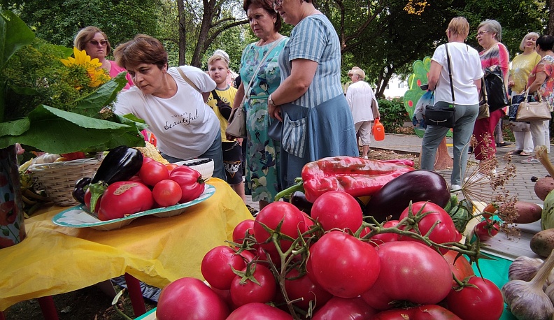 Для праздника урожая в Калуге «итальянка» сменила прописку