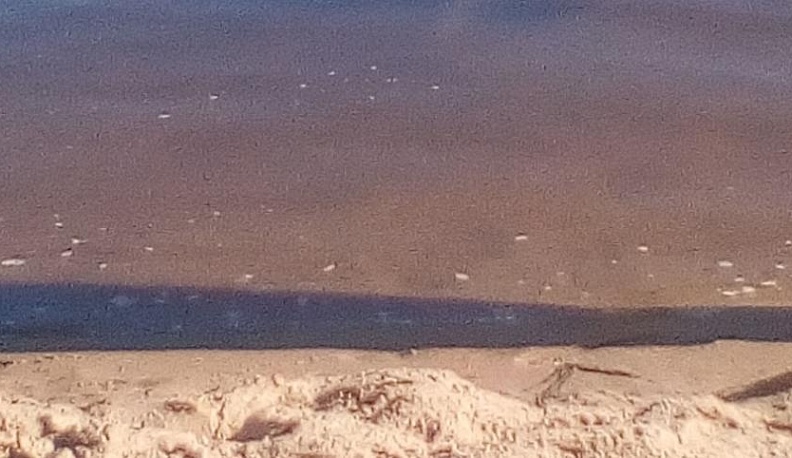 В Калуге утонул 56-летний мужчина