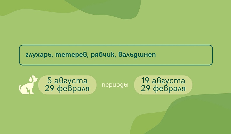 Сроки охоты объявлены в Калужской области