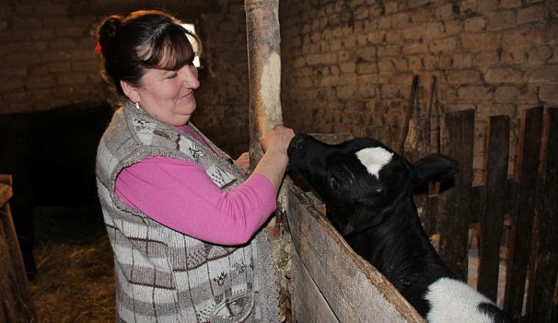 Вкус парного молока