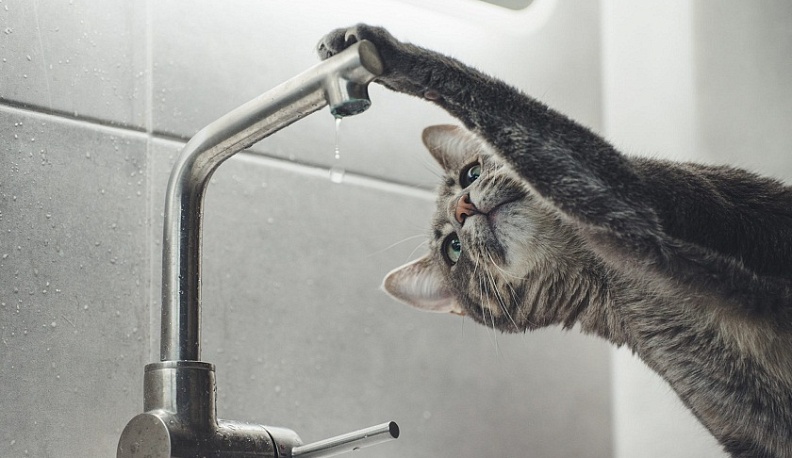 12 улиц Калуги на сутки останутся без холодной воды