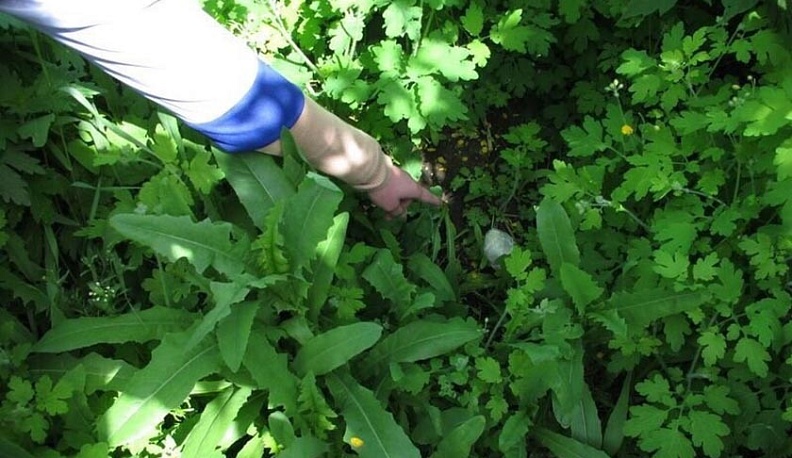 В Боровском районе задержали наркомана, воспользовавшегося «закладкой»