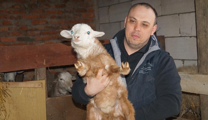 Вернуться на землю