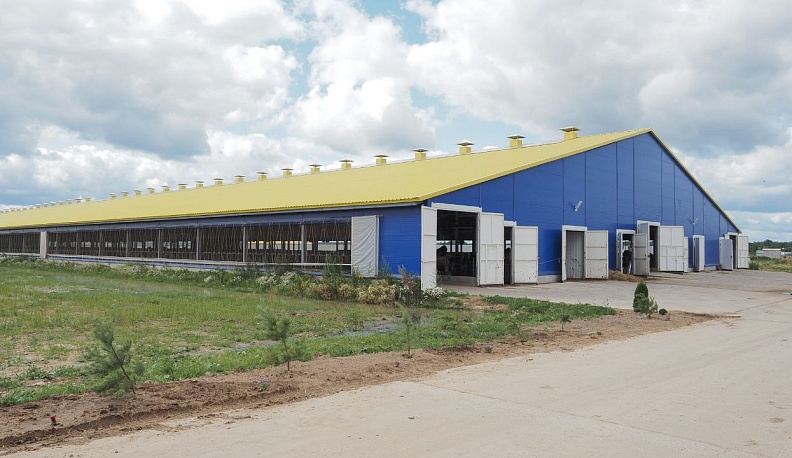 Доильный зал на комплексе «Ти-Эйч Калужский» начал работу в штатном режиме