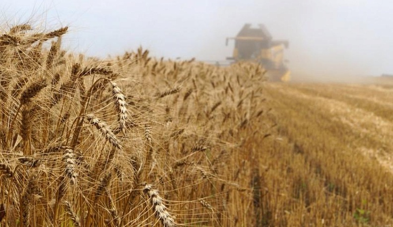 Дожди на севе и жатве