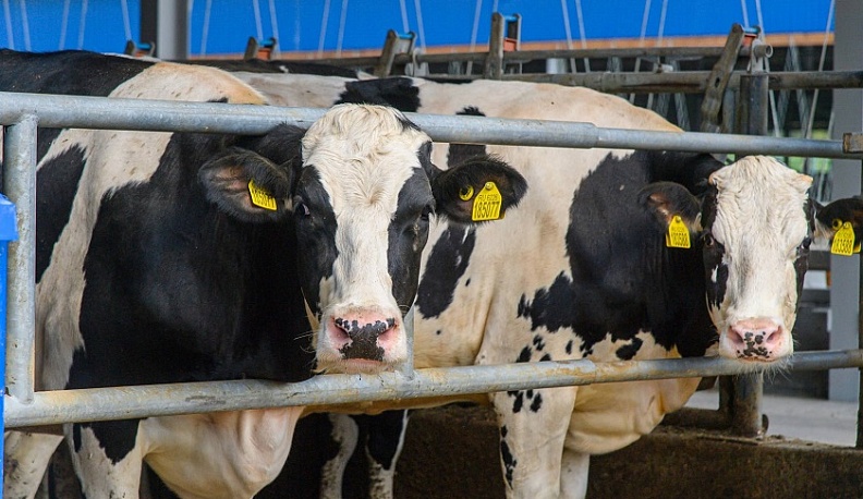 Владислав Шапша рассказал об успехах развития сельского хозяйства в регионе