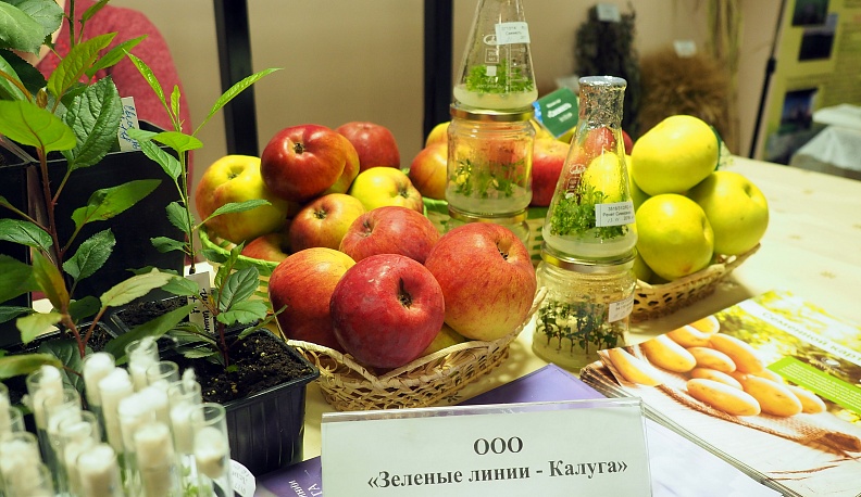 Загранице мы поможем