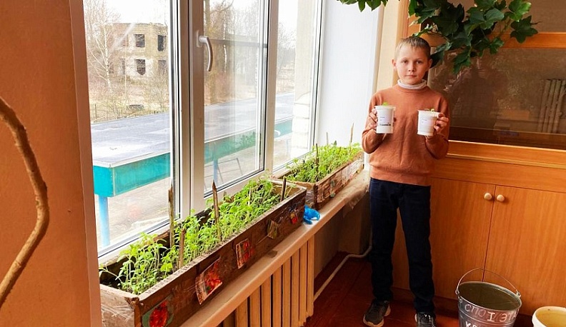 Людиновские школьники посадили различные культуры