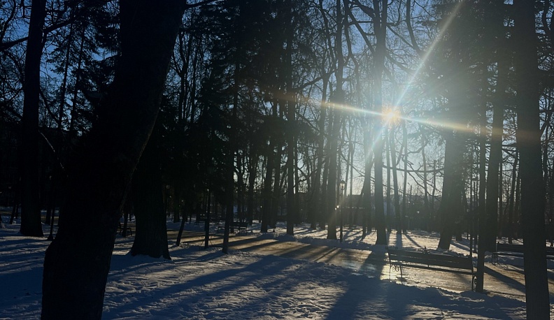 В Калуге 30 января установится пасмурная и холодная погода