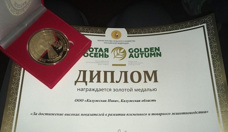 Калужане побеждают на "Золотой осени"