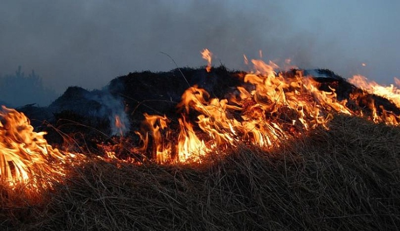 В Калуге пожарные 260 раз выезжали на палы травы