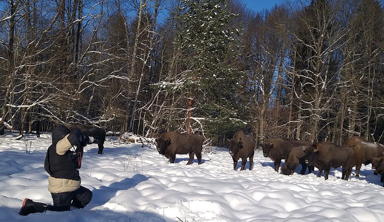 Намасте*, зубры!