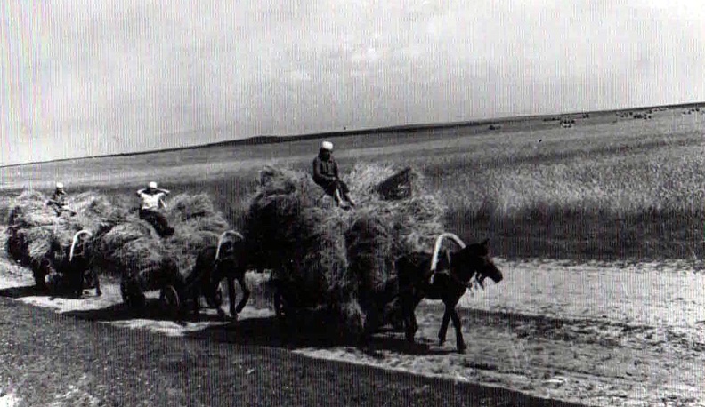На тыловой передовой