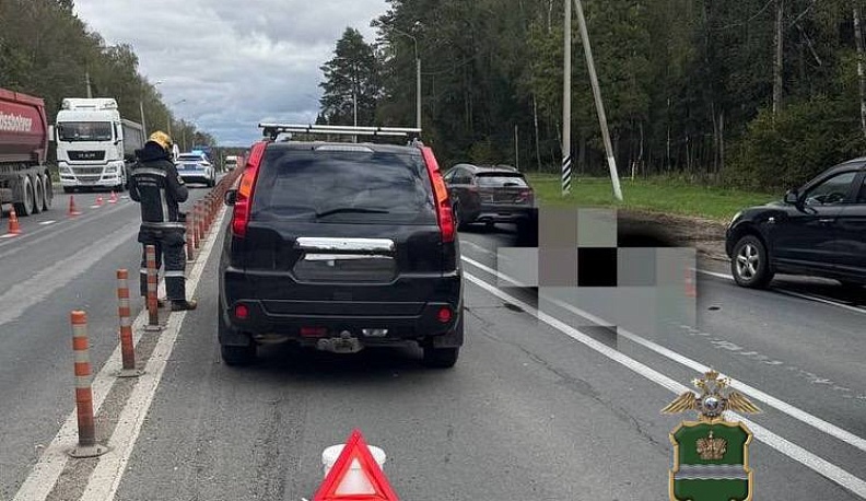 Иномарка насмерть сбила женщину в Малоярославецком районе