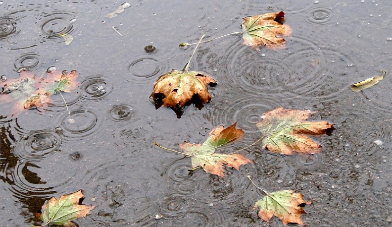 В Калуге до конца года четыре перекрестка избавят от луж