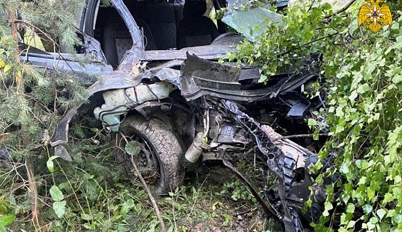 В Калужской области дерево остановило улетевший в кювет «Форд»