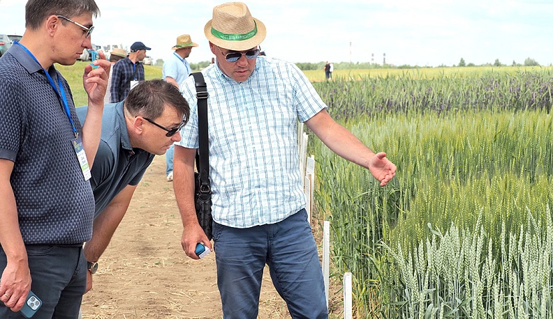 Осмотр опытных делянок.