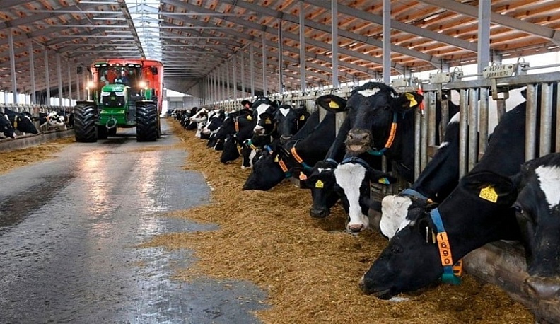 В Калужской области появится новый животноводческий комплекс